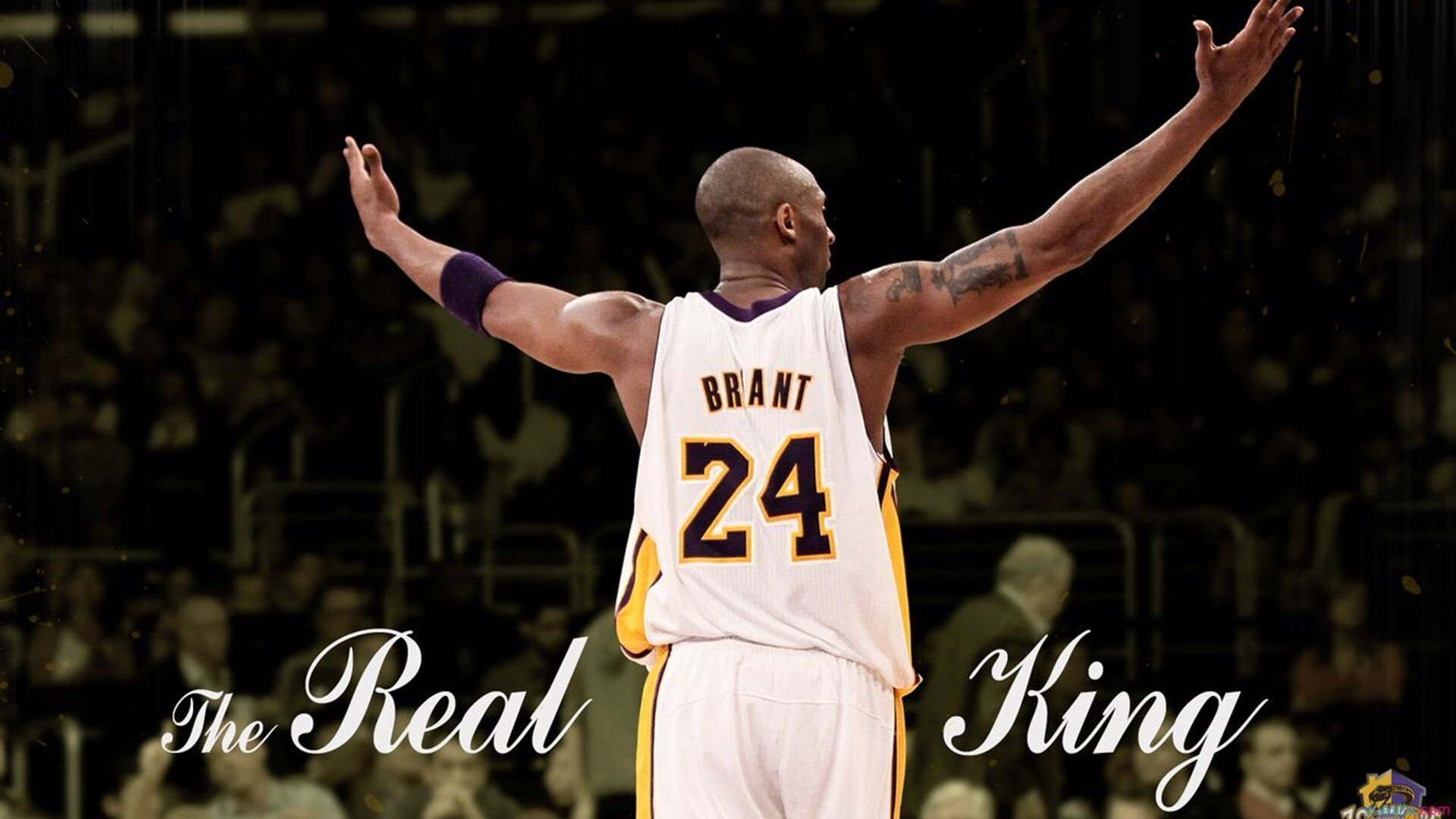 弗朗索瓦·霍尔茨豪伊泽：关键时刻的突破，让南非队攻守兼备，霍伊费尔德